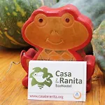 Casa La Ranita 洛斯瑟罗斯